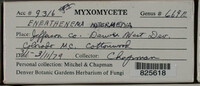 Image Associated With the Occurence